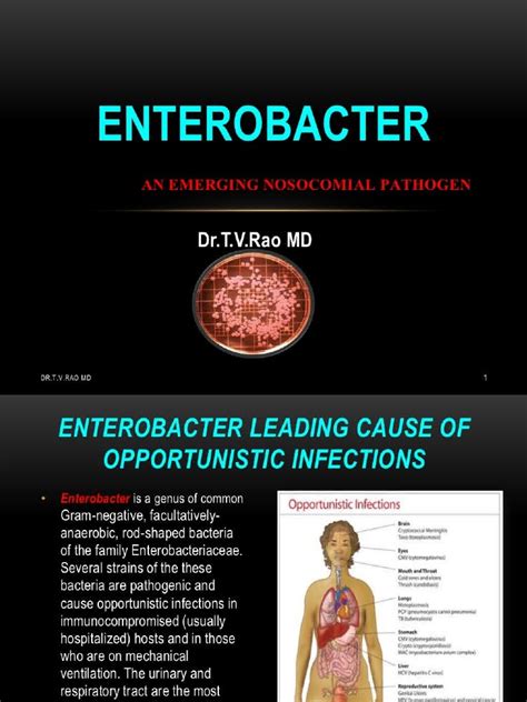 Enterobacter Infections .
